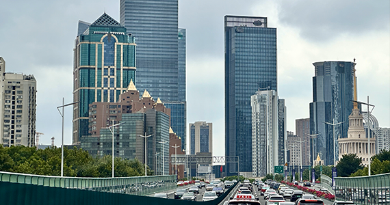 武汉top域名查询