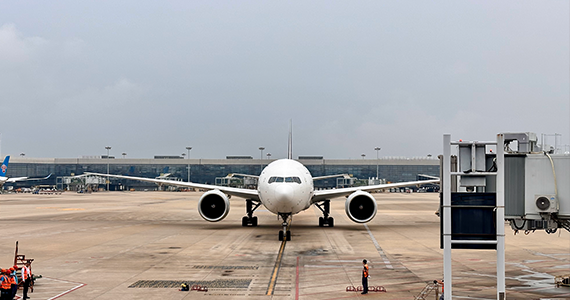 top域名解析查询