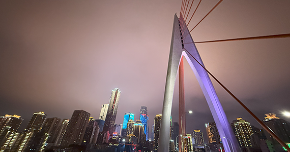 扬州top域名查询