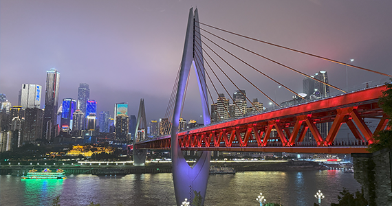 济南top域名查询